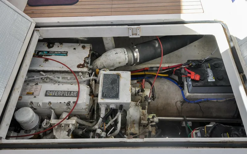 Slide: The Image of Wilbur 34   Kingfisher   Offered For Sale68 - 4042791