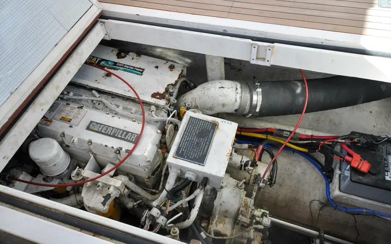 Slide: The Image of Wilbur 34   Kingfisher   Offered For Sale67 - 4042788