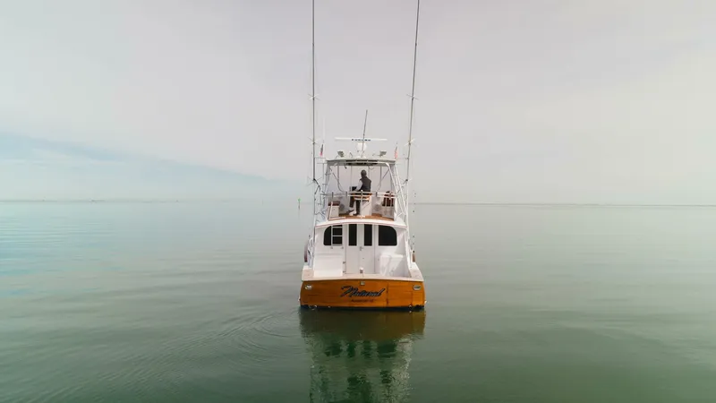 Slide: The Image of 1984 Scarborough 41 Convertible Natural - 4122505