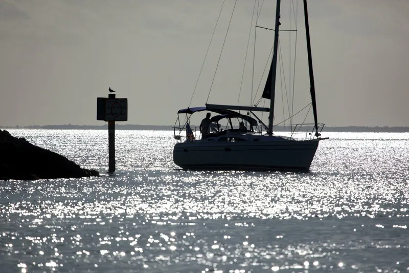 Slide: The Image of Catalina 315 2024 - 4066147