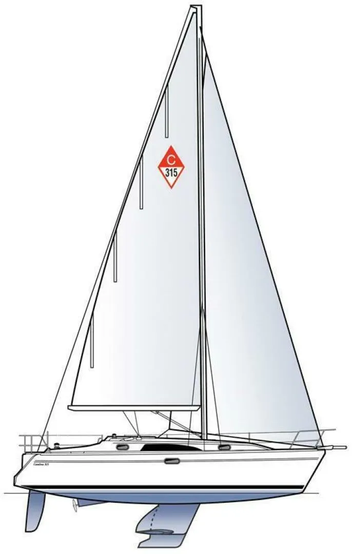 Slide: The Image of Catalina 315 2024 - 4066149