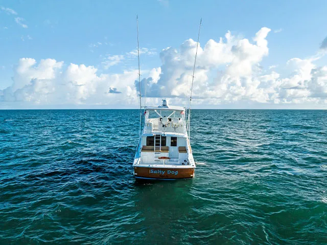 Slide: The Image of Hatteras 60 Convertible 1999 - 28