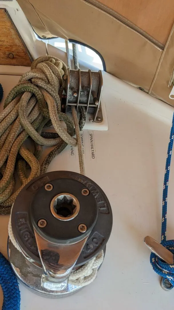 Slide: The Image of Passport 40 1982 - 4070131