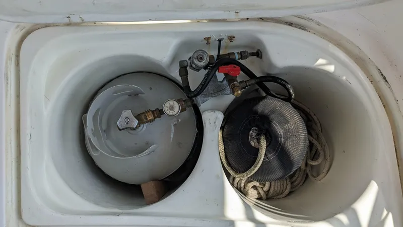 Slide: The Image of Passport 40 1982 - 4070136