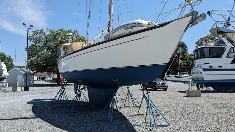 Slide: The Image of Passport 40 1982 - 4070090