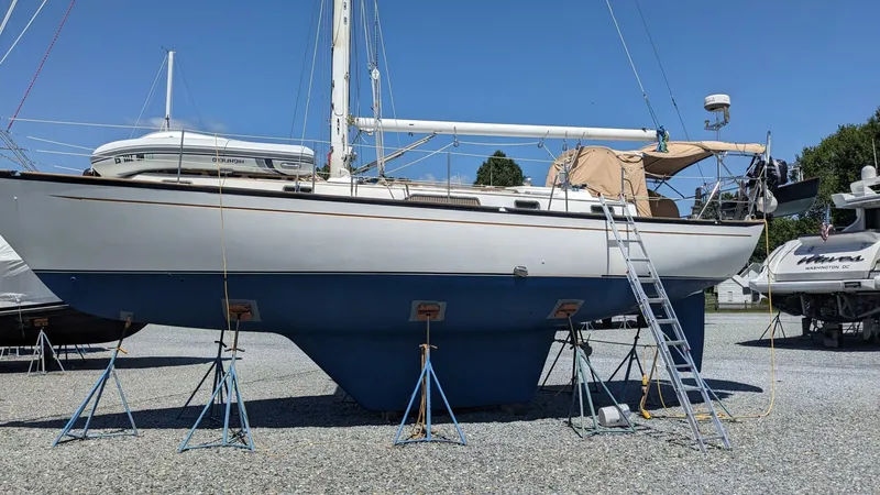 Slide: The Image of Passport 40 1982 - 4070099