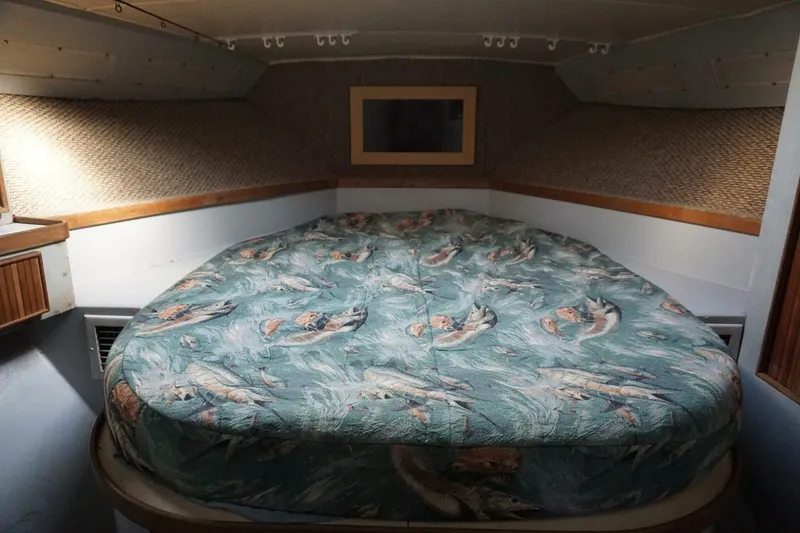 Slide: The Image of 1987 37 Bertram 37 Convertible RIDGEBACK Fwd Stateroom  (1) - 4080309