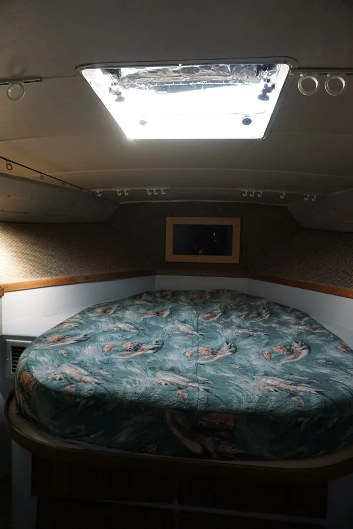 Slide: The Image of 1987 37 Bertram 37 Convertible RIDGEBACK Fwd Stateroom  (4) - 4080459