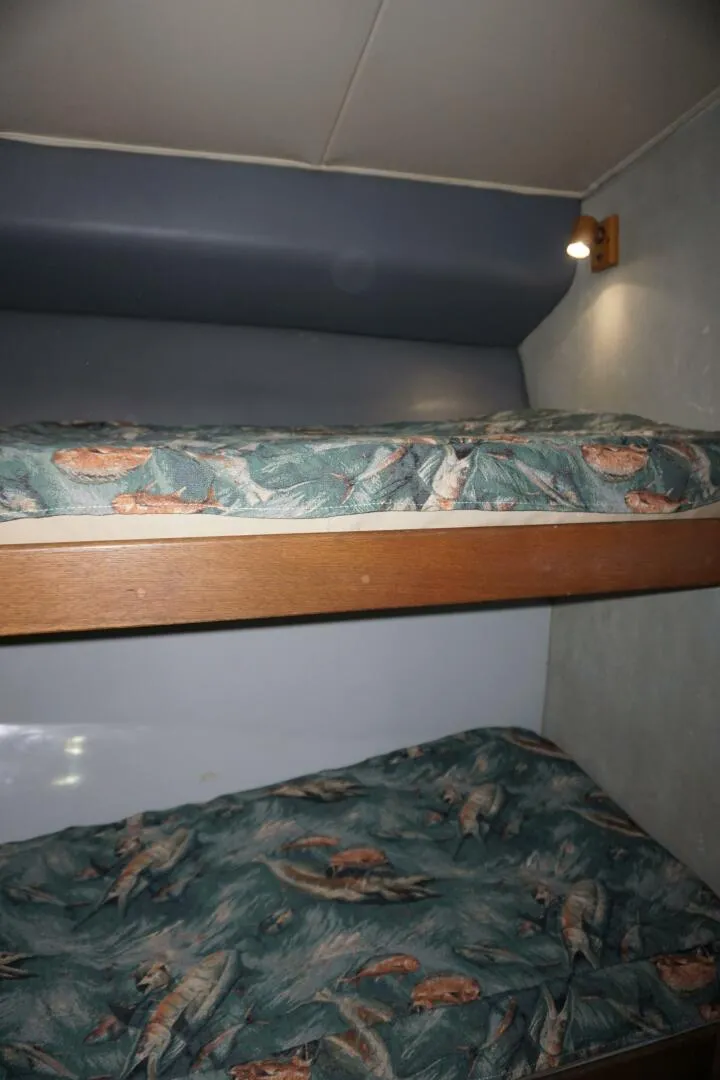 Slide: The Image of 1987 37 Bertram 37 Convertible RIDGEBACK Guest Stateroom (1) - 4080460