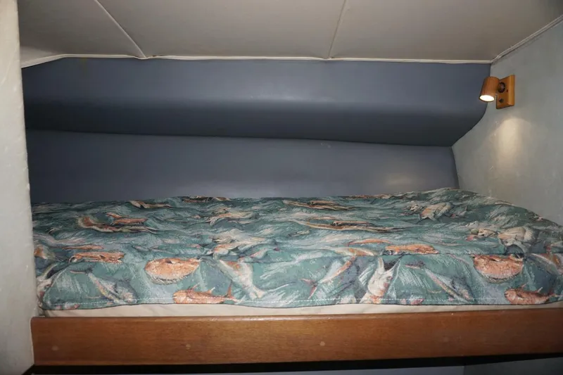 Slide: The Image of 1987 37 Bertram 37 Convertible RIDGEBACK Guest Stateroom (2) - 4080321