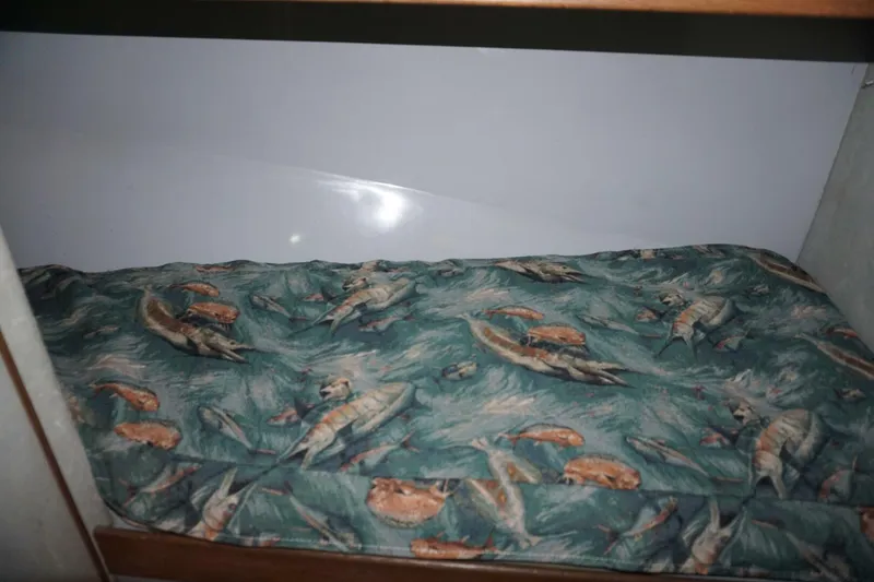 Slide: The Image of 1987 37 Bertram 37 Convertible RIDGEBACK Guest Stateroom (3) - 4080324