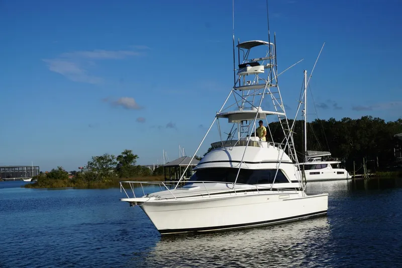 Slide: The Image of 1987 37 Bertram 37 Convertible RIDGEBACK Profile (3) - 4080449