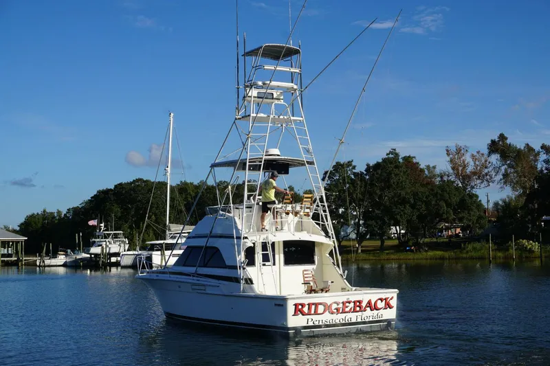 Slide: The Image of 1987 37 Bertram 37 Convertible RIDGEBACK Transom (5) - 4080451