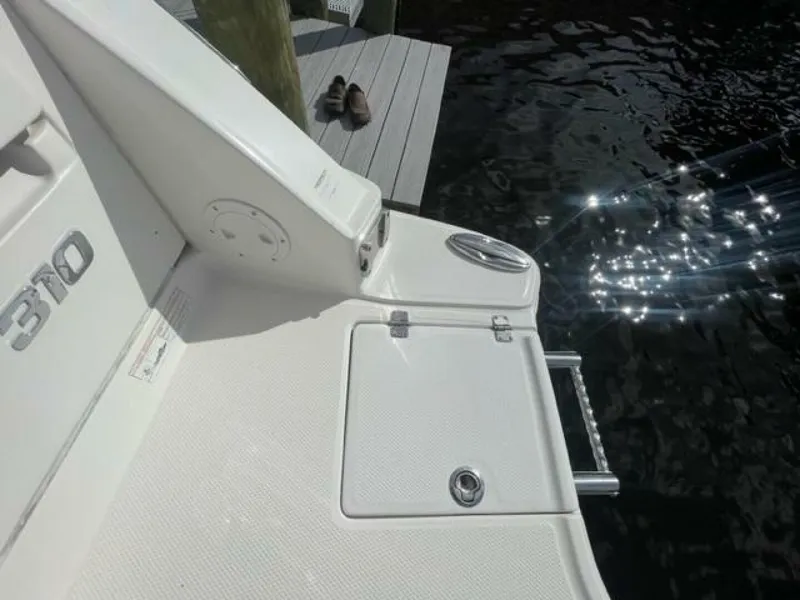 Slide: The Image of Chaparral 30 2017 - 4088671
