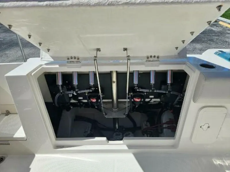 Slide: The Image of Sailfish 312CC 2024 - 4695232