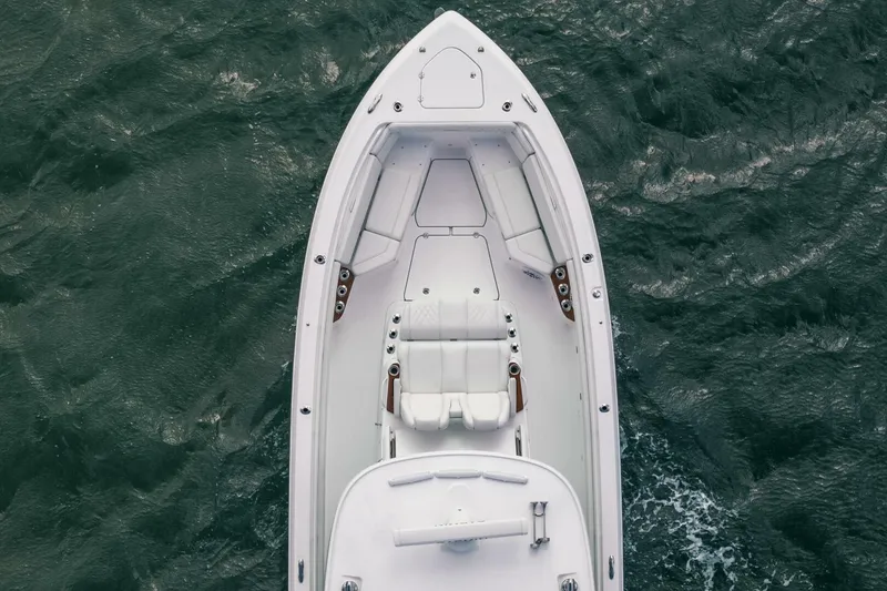 Slide: The Image of Everglades 395CC 2022 - 4192186