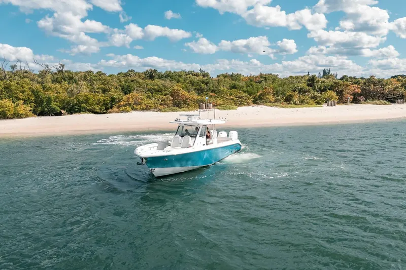 Slide: The Image of Everglades 395CC 2022 - 4192189