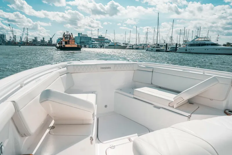 Slide: The Image of Everglades 395CC 2022 - 4192219