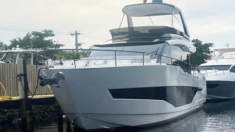 Slide: The Image of Astondoa As5 2024 - 4127642