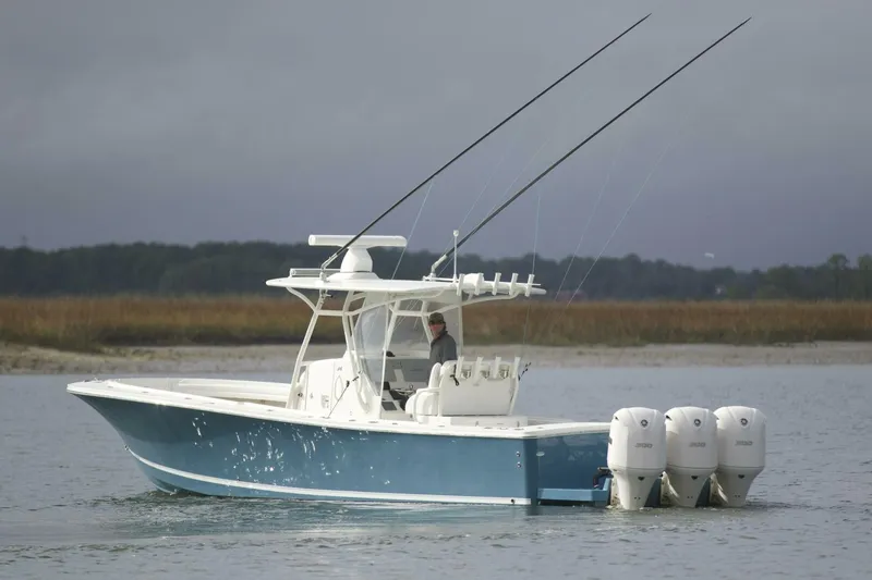 Slide: The Image of Regulator 34 Perchy- Profile 2018 Regulator 34 Perchy  - 4137324