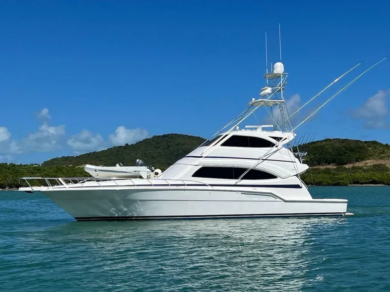 The Image of Bertram 67 2004 - 4164215