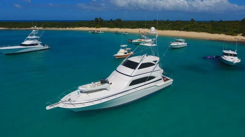 Slide: The Image of Bertram 67 2004 - 4164267