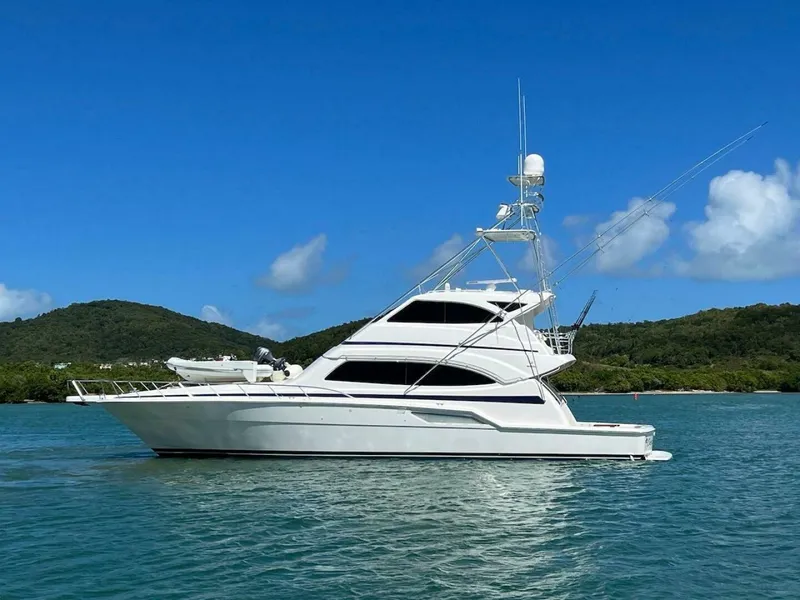 Slide: The Image of Bertram 67 2004 - 4164256