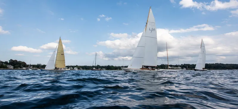 Slide: The Image of 1944 L24 Leaf - 4215965