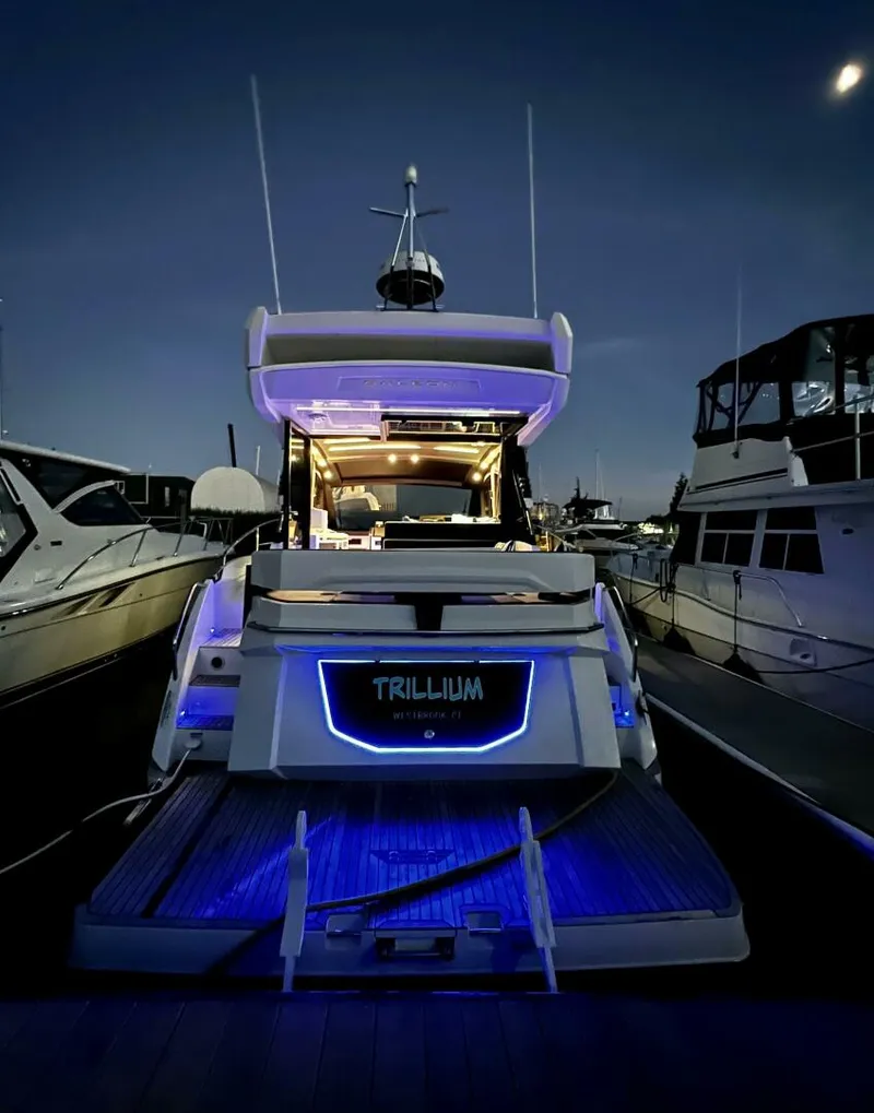 Slide: The Image of Stern_portrait_night - 5107636