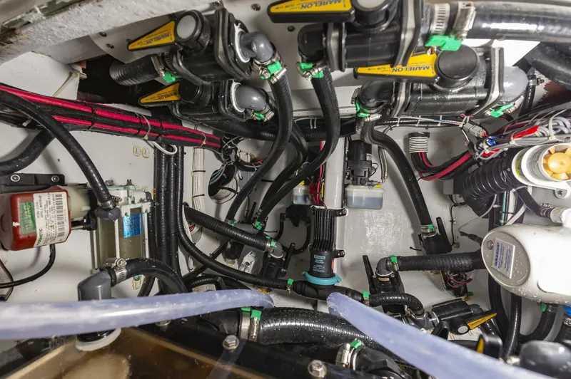 Slide: The Image of Contender 44fs 2023 - 4217756