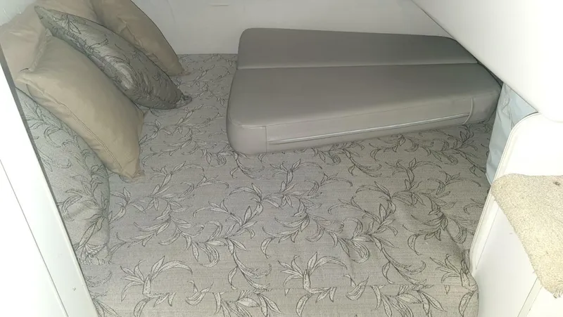 Slide: The Image of Carver 28 Express 1995 - 4219482