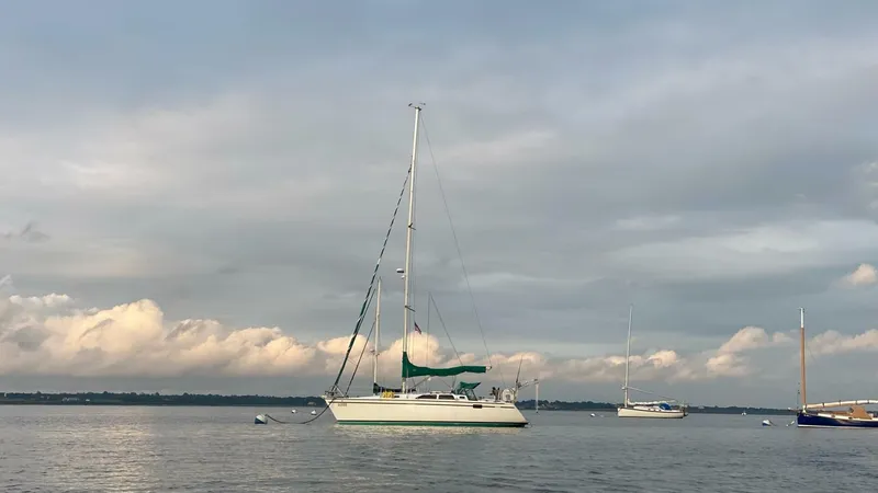 Slide: The Image of IMG_1319 - 4609382