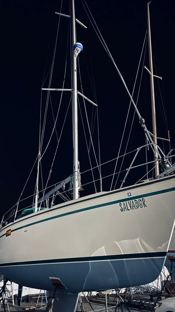 Slide: The Image of BB34E86F 29DC 499E ACFA 34FFA91A6035 - 4609385