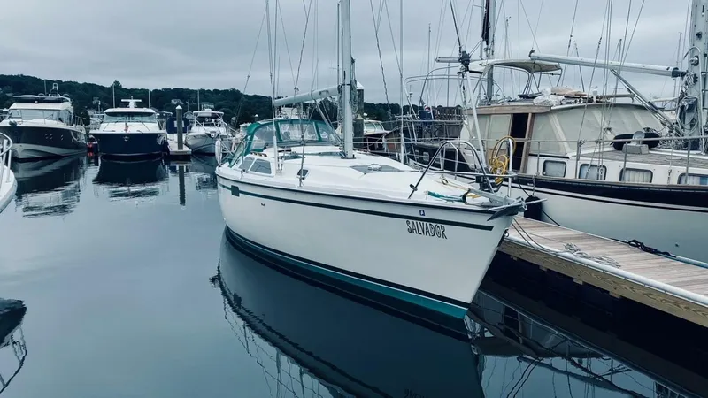 Slide: The Image of Image0 - 4609389