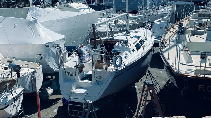 Slide: The Image of IMG_0009 - 4609392