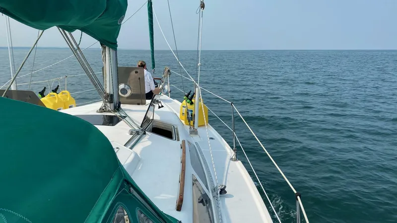 Slide: The Image of 3B769019 376B 4D4B A795 95A85DE03666 - 4609376