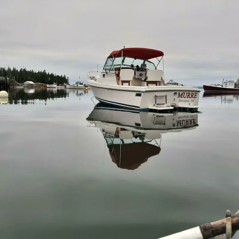 Slide: The Image of Limestone Express Cruiser 1988 - 5146916