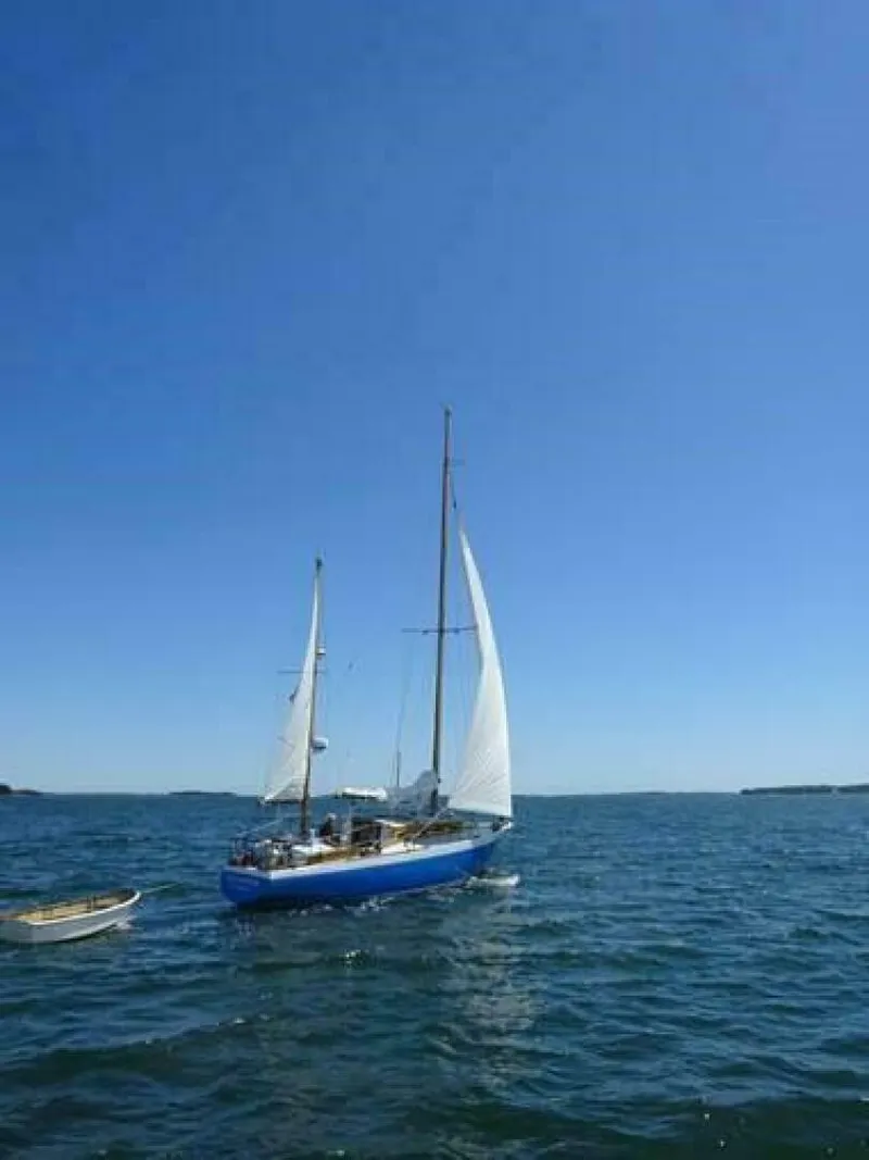 Slide: The Image of Classic 36 Controversy 36 C/C Yawl 1959 - 5147188