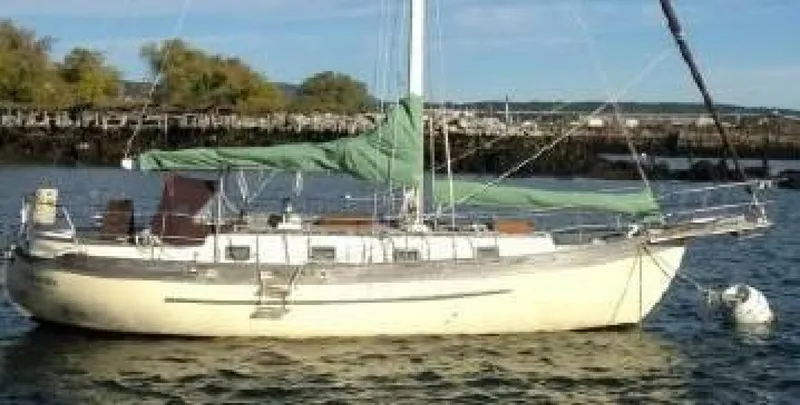 The Image of Young Sun Cutter 1982 - 4254020