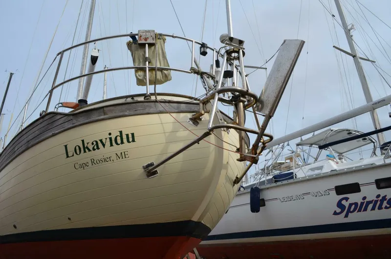 Slide: The Image of Young Sun Cutter 1982 - 5147496