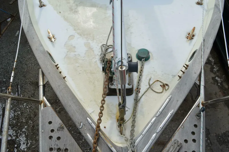 Slide: The Image of Young Sun Cutter 1982 - 5147504