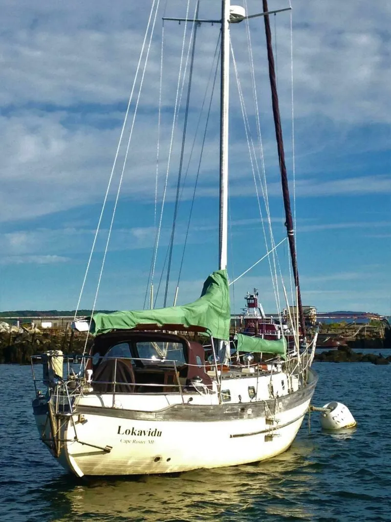 Slide: The Image of Young Sun Cutter 1982 - 5147487