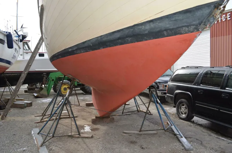 Slide: The Image of Young Sun Cutter 1982 - 5147491