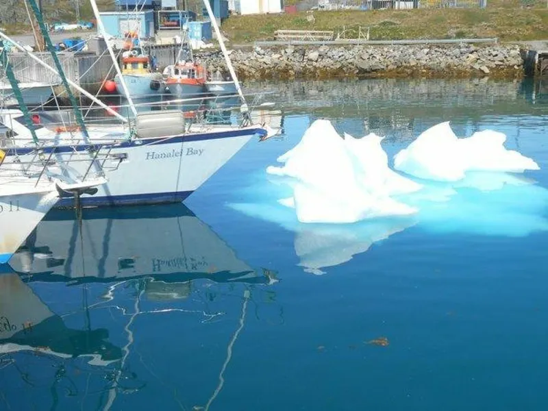 Slide: The Image of Canadian Sailcraft TDM OFFSHORE 1990 - 4257627