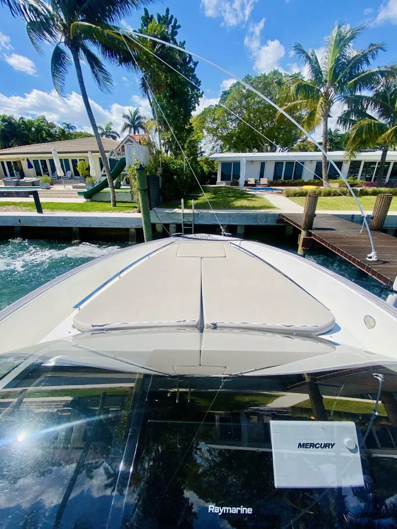 Slide: The Image of Astondoa 377 2020 - 4259690