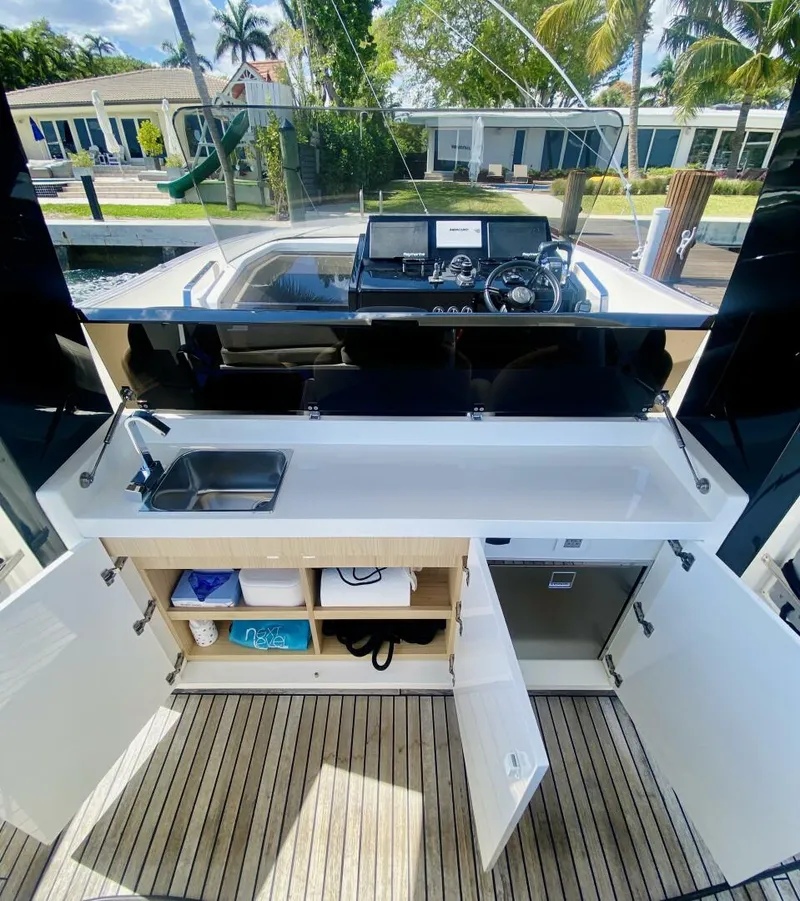 Slide: The Image of Astondoa 377 2020 - 4259698