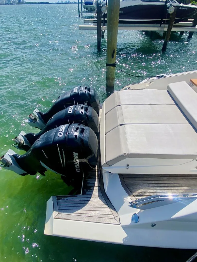 Slide: The Image of Astondoa 377 2020 - 4259683