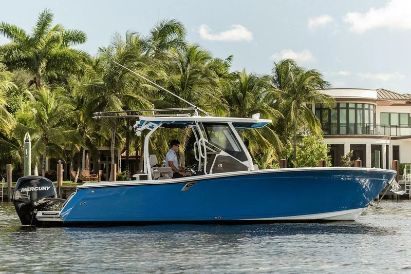 Slide: The Image of Blackfin 272 CC 2018 - 4261704