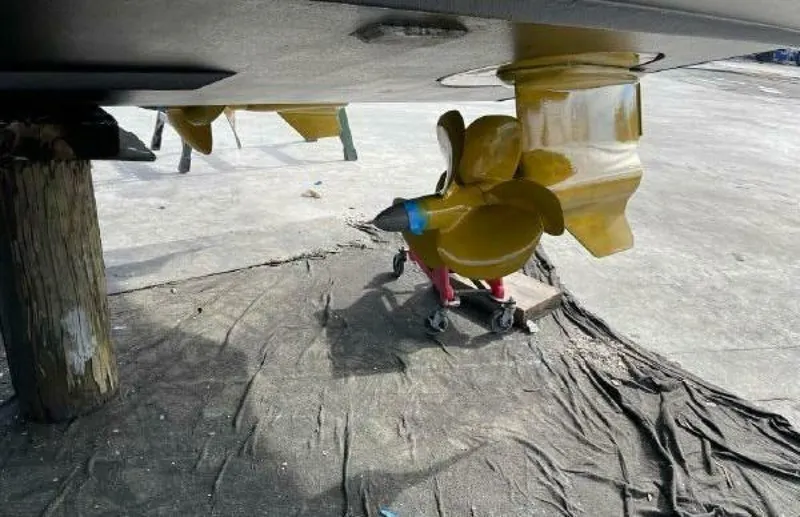 Slide: The Image of Evo 43 2017 - 4261804