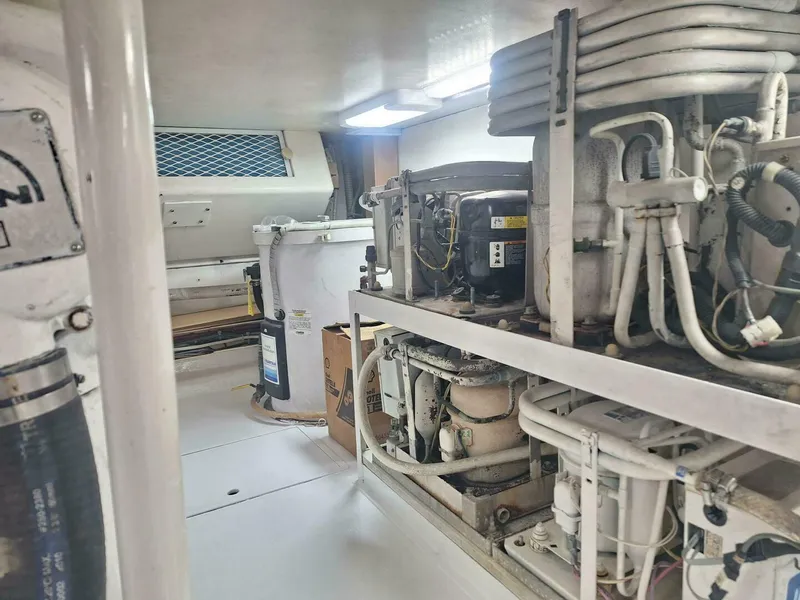 Slide: The Image of Viking 55 Convertible 2000 - 4267431